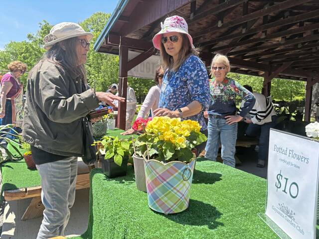 Fox Chapel Garden Club’s Gardenfest blooms at O’Hara park 8496214_web1_HER-GardenFest9-052225