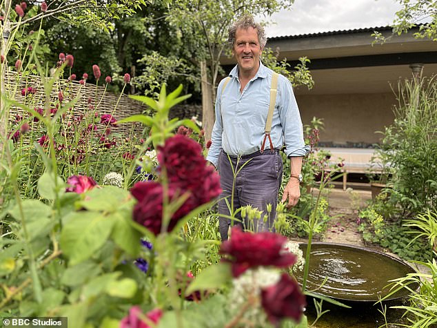 Monty praised the plant for its aesthetic appeal, describing its 'tall stem topped by purple flowers that last for weeks and weeks, and go on being produced well into autumn'