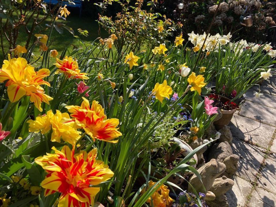 A splash of colour by Jacqui Bailey
