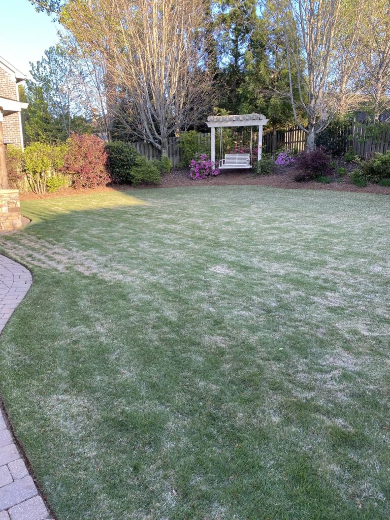 Before/After - Appreciation Post