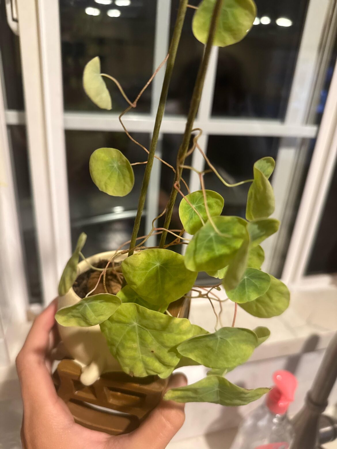 AHHHHH why is it like this????