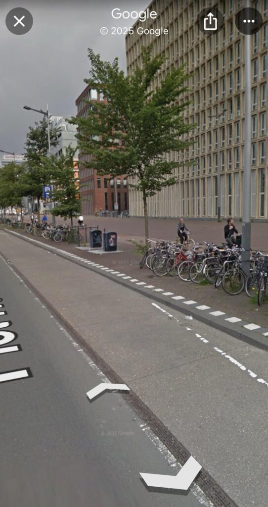 Amsterdam Public Native Planting Projects (Before 2022 & Now)