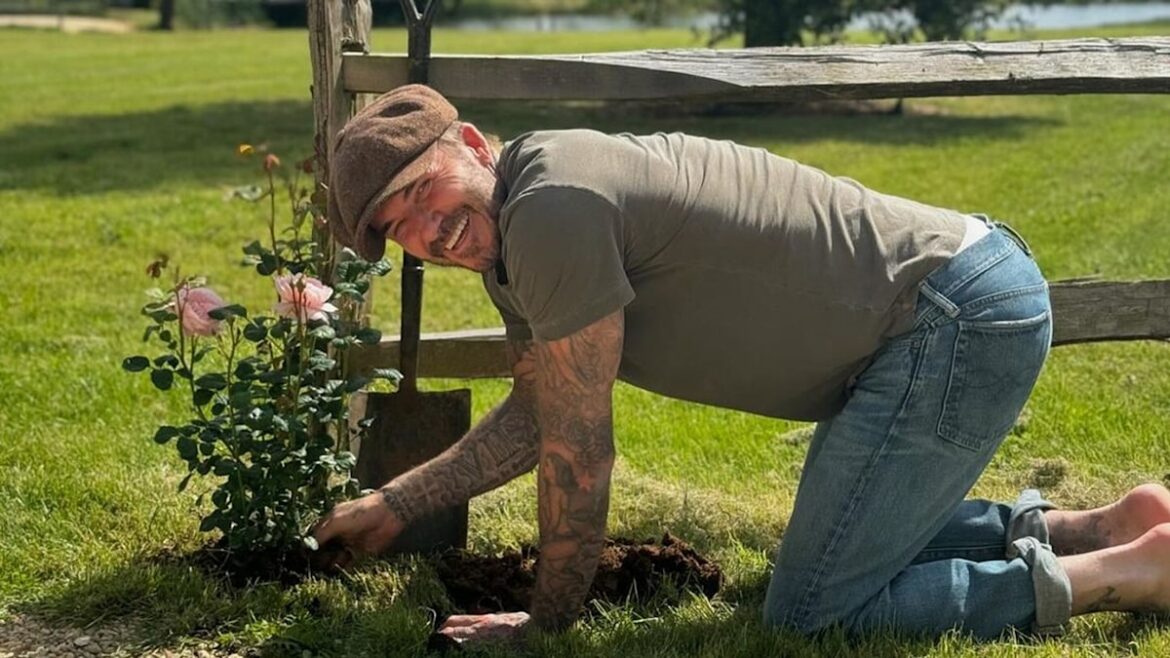 David Beckham shares 'work in progress' feature in mammoth Cotswolds garden – and wow