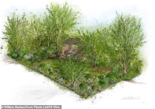 The Royal Horticultural Society (RHS) has teamed up with the Gardeners' World Monty Don for his first Chelsea garden, which aims to give green-fingered dog owners ideas for creating a haven for themselves and their pets at the show next May