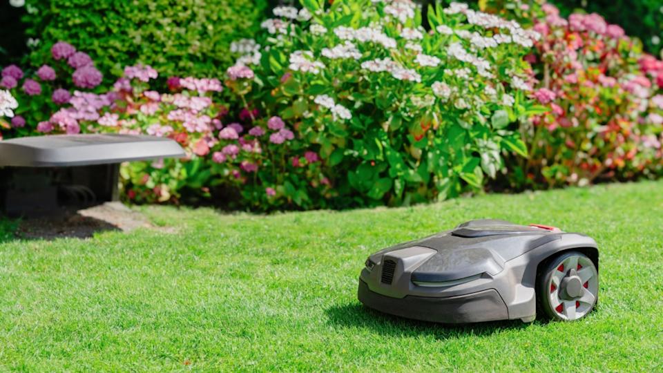 Robotic lawn mower trims grass in a garden with flowers and lush greenery, automated lawn maintenance