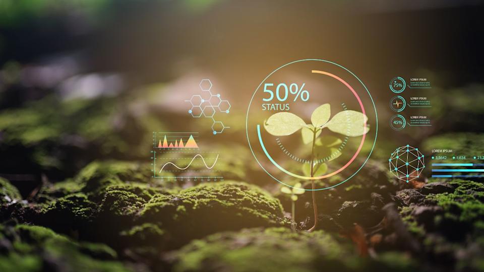 Young Sprout Agricultural Technologies, Scientific Research Banner, Organic Digital Background. Copy Space