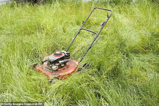Monty advises gardeners to put energy into maintaining healthy grass rather than fighting 'problems' such as moss, ants, worm-casts, dandelions, moles and more