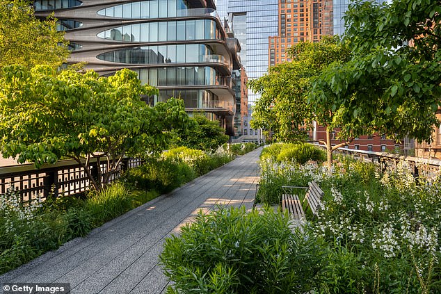 Urban beauty; a disused railway line became the High Line in 2009 and now attracts tourists and residents alike to the elevated New York garden