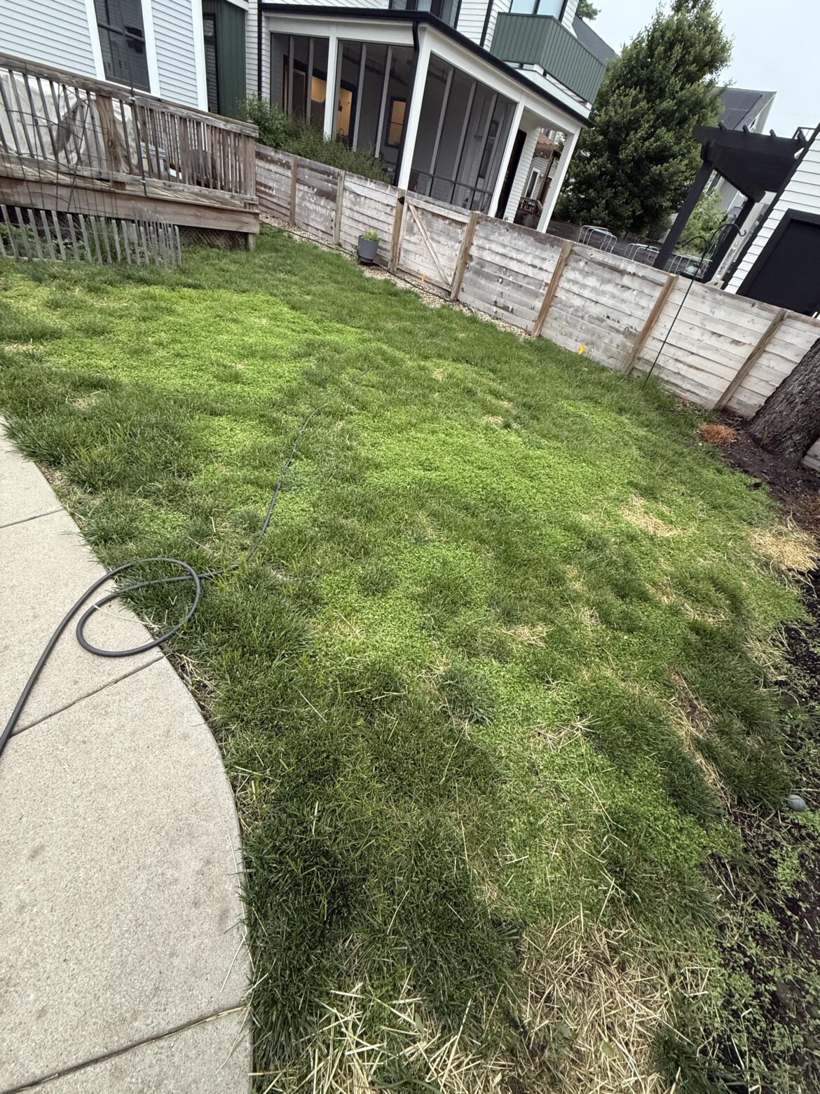 Accidental weed killer
