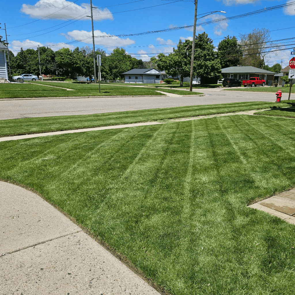 Power washed the sidewalk and gave the lawn a crispy line up