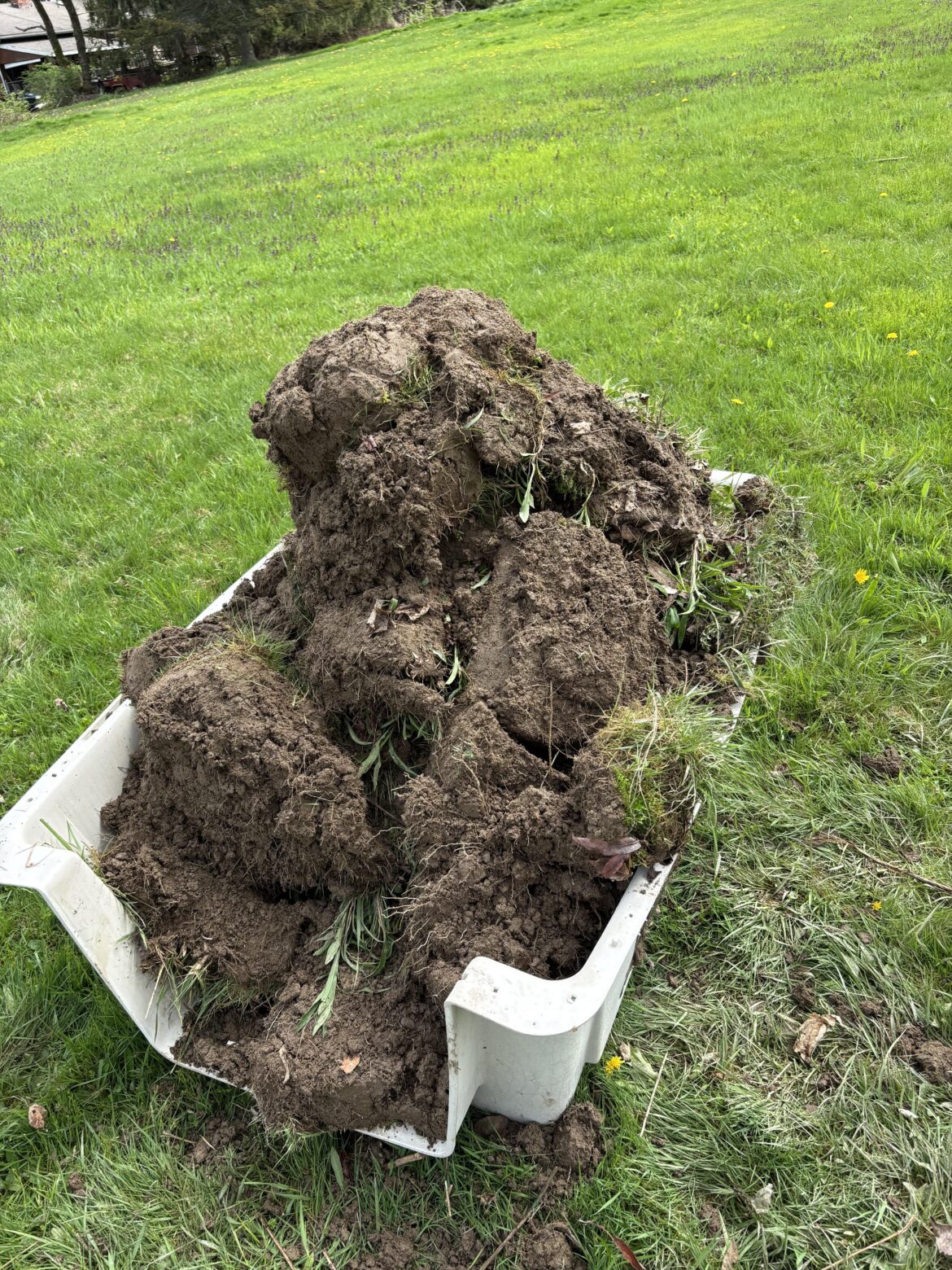 How to repurpose this soil
