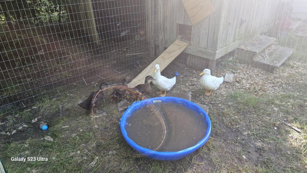 I am having a hard time