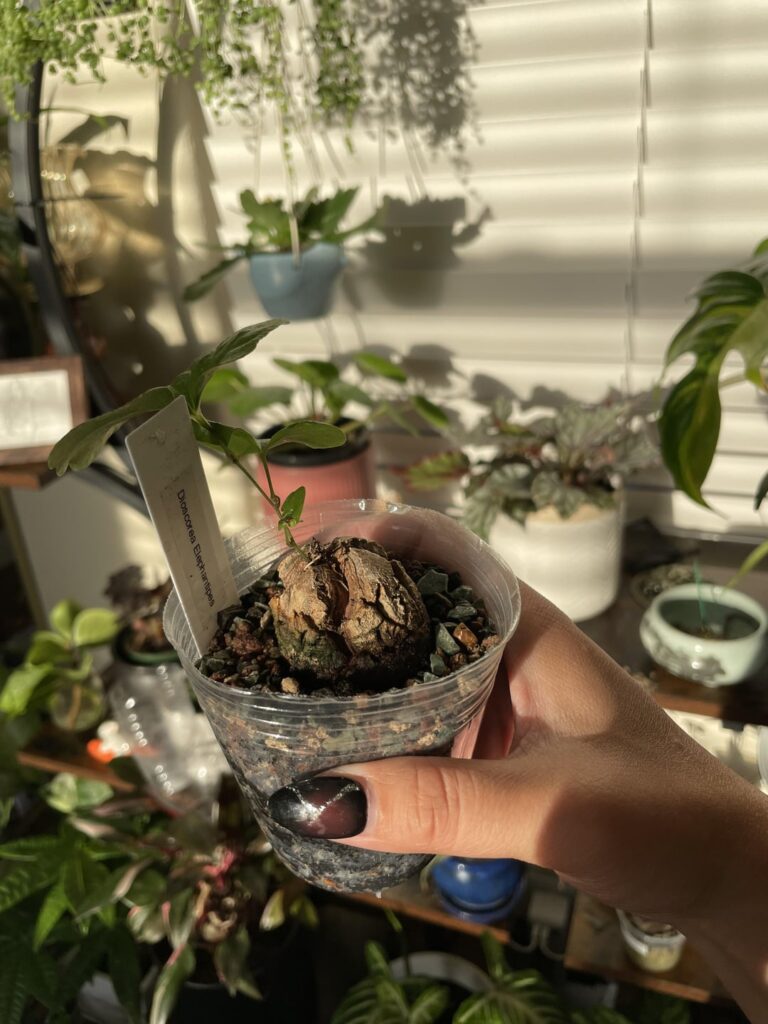 Am I killing it? 😭