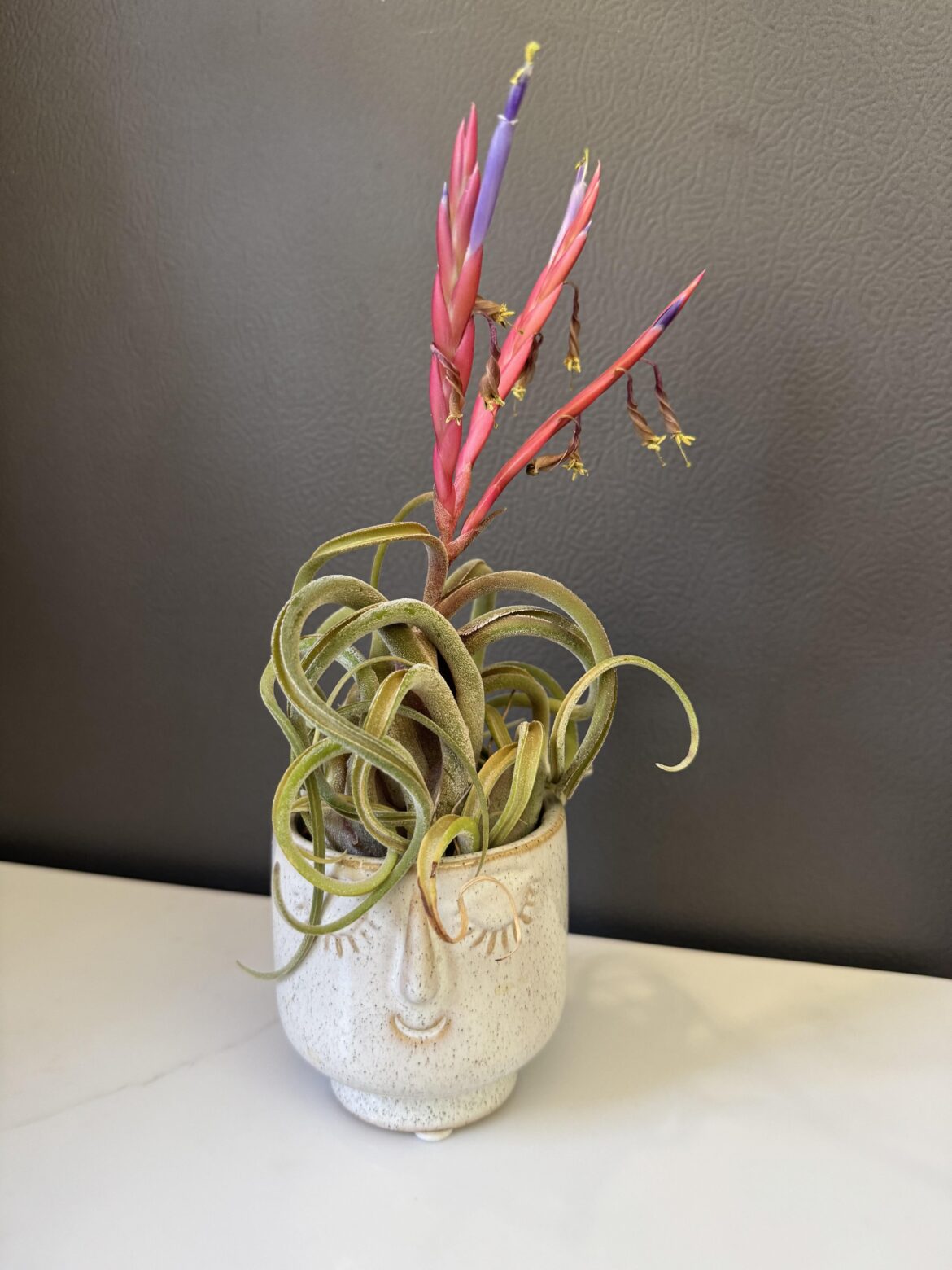 It’s like watching a fireworks show in extreme slow motion.