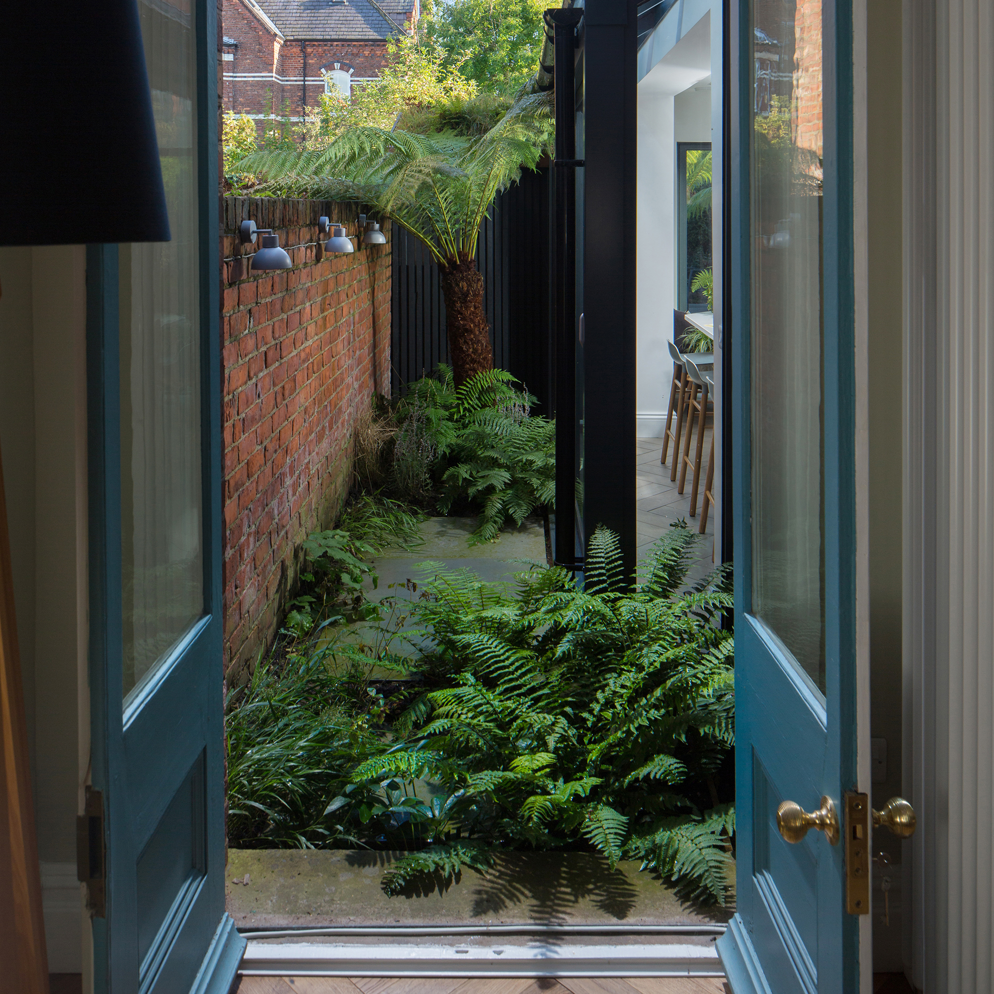courtyard garden side return with ferns
