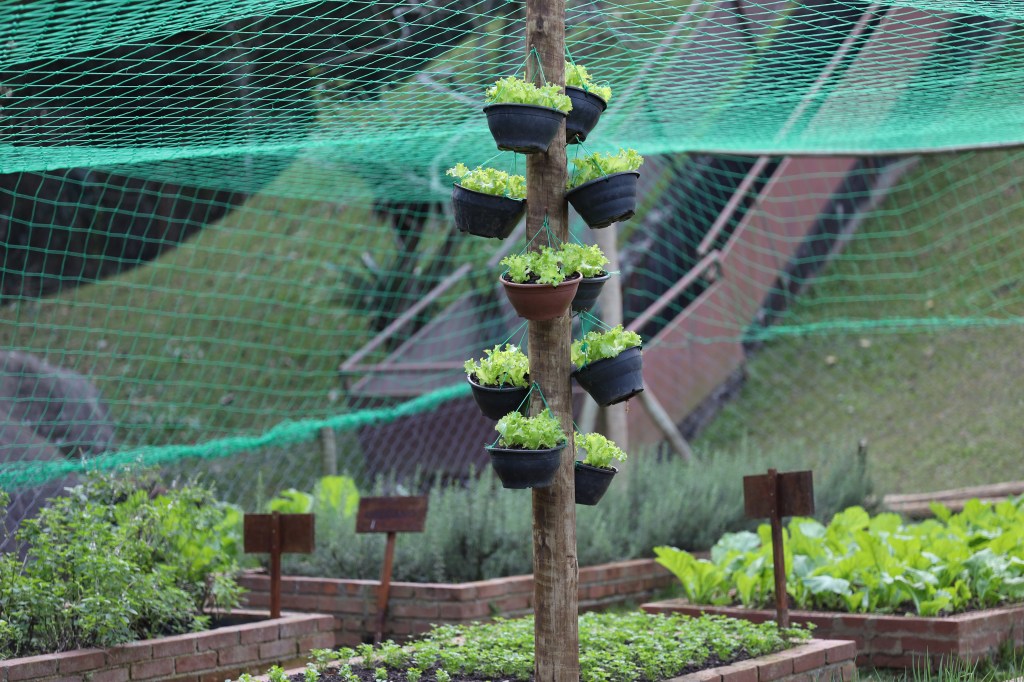 Almenat Embu Des Artes, Tapestry Collection by Hilton - Vegetable Garden with plant beds and hanging pots