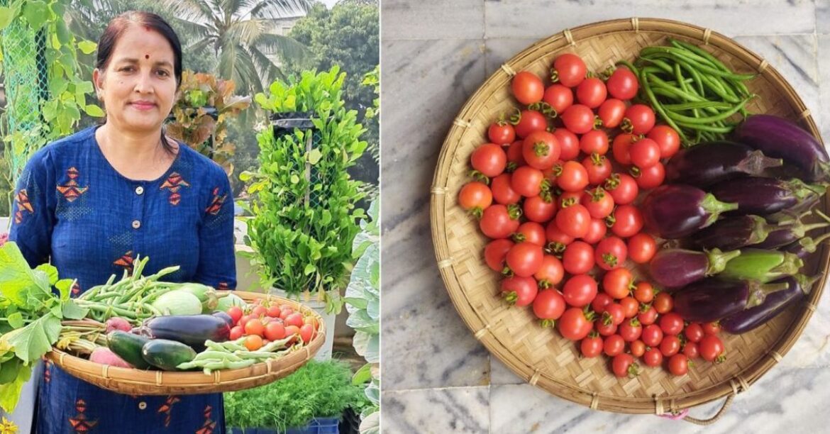 How This Woman Transformed Her Rooftop Into a Beautiful Organic Garden in Bhubaneswar