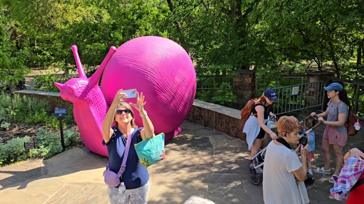 Giant snails and colorful art take over Fort Worth Botanic Garden – NBC 5 Dallas-Fort Worth