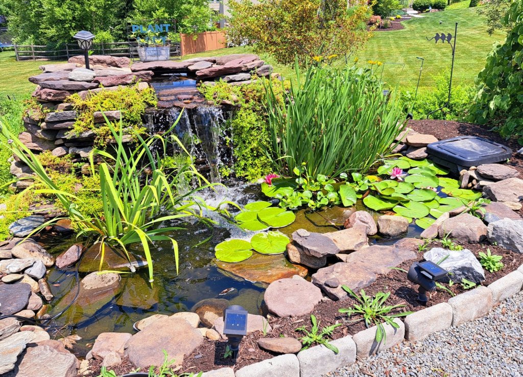 Tour of Back Mountain Gardens set for June 28 – Wilkes-Barre Citizens’ Voice Tour of Back Mountain Gardens set for June 28 – Wilkes-Barre Citizens' Voice