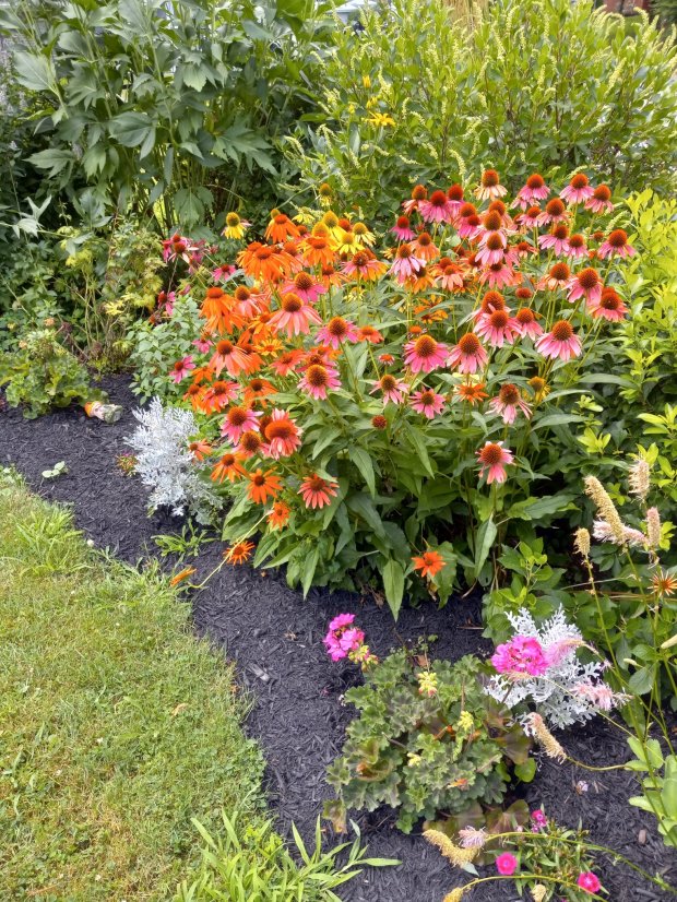This exceptional Trucksville garden with its blaze of color will thrill visitors during the 'Tour of Back Mountain Gardens' on June 28. (SUBMITTED)