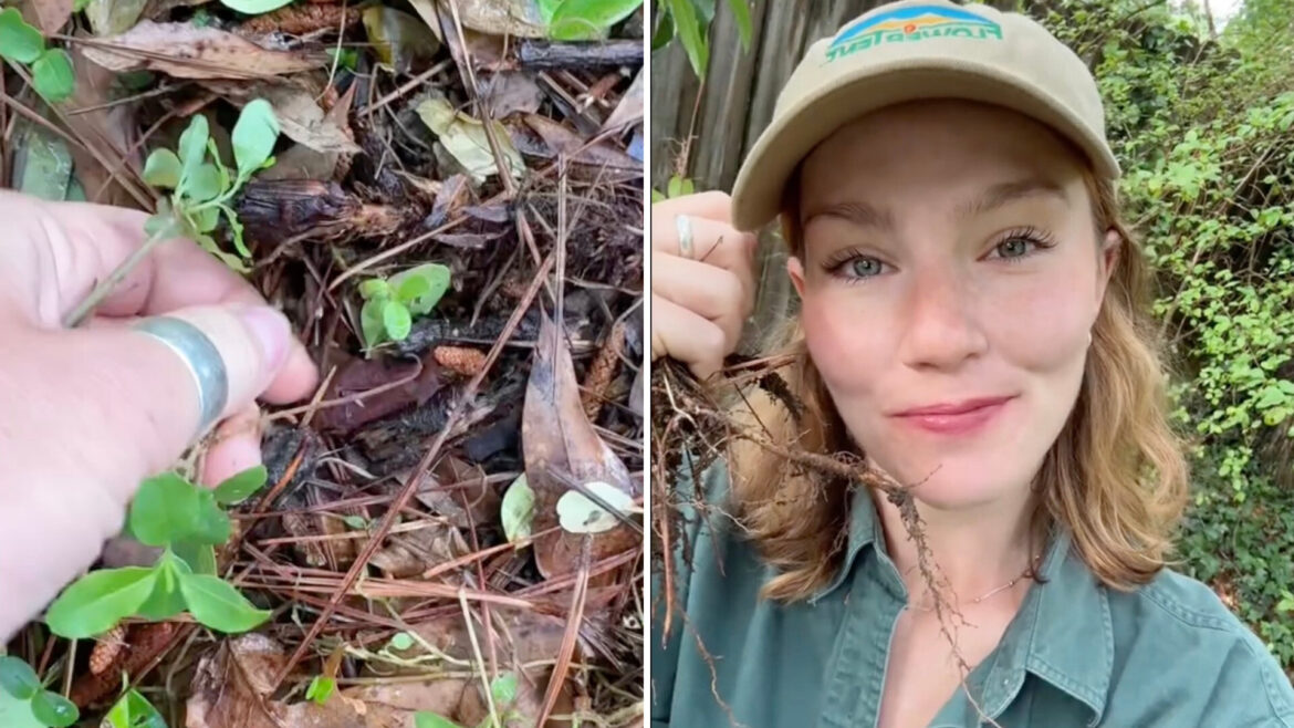 Others could relate to the gardener's struggle.