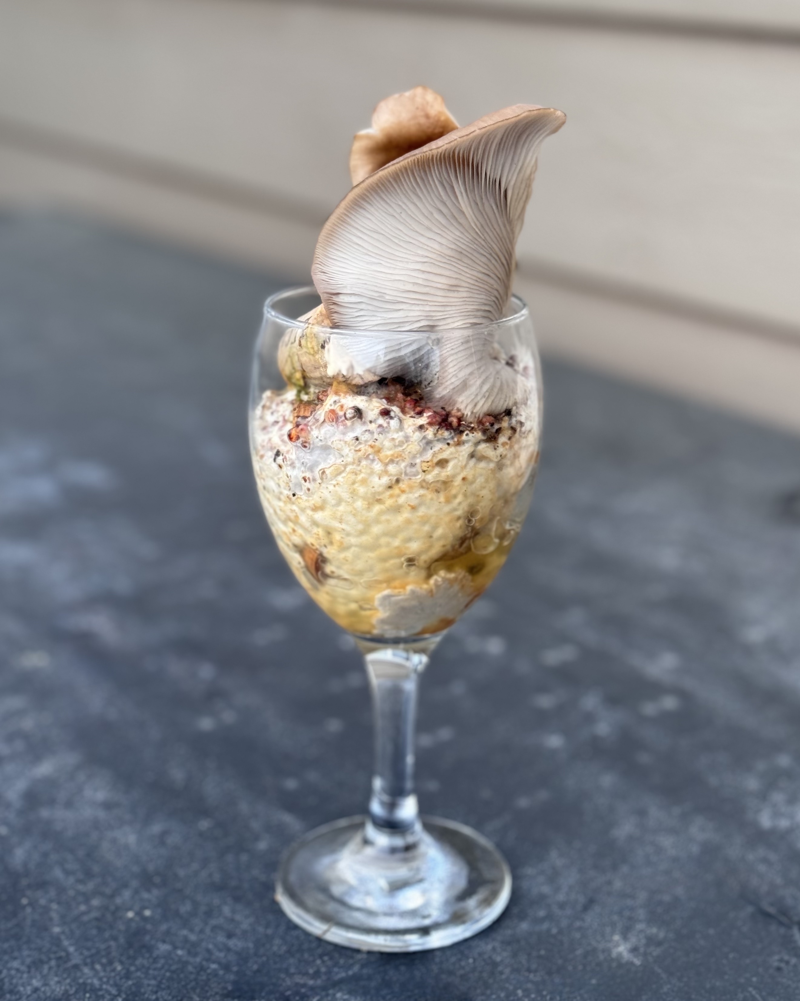 mushroom growing in wine glass