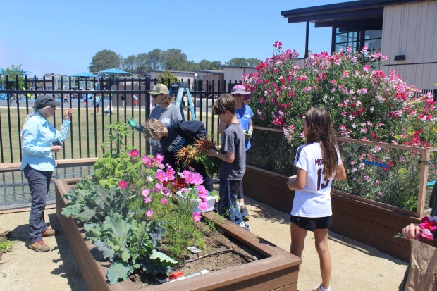 Students can visit the Del Mar Heights School garden every...