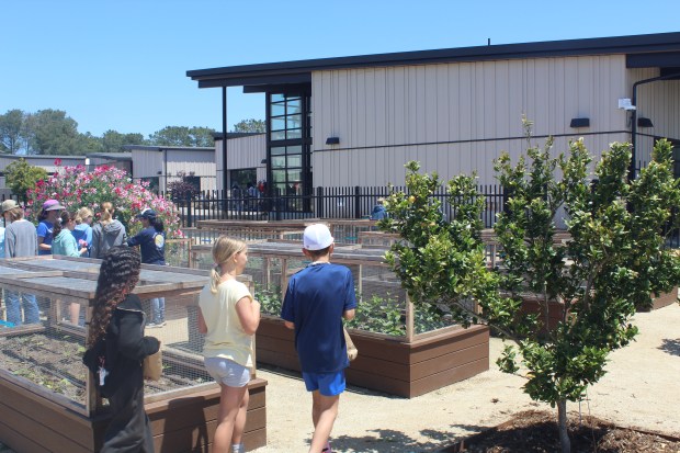 Students can visit the Del Mar Heights School garden every...