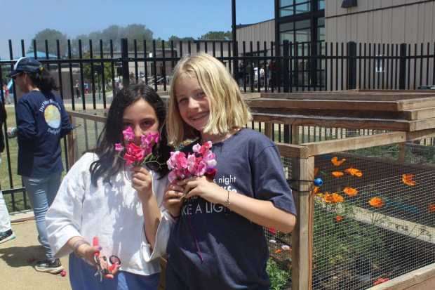 Third graders Maya and Sadie with their sweet peas in...