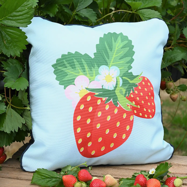 Dunelm Strawberries & Cream Outdoor Picnic Cushion