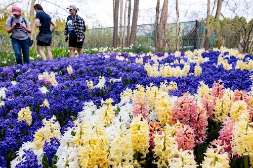 Mackinac Island Spring 2025