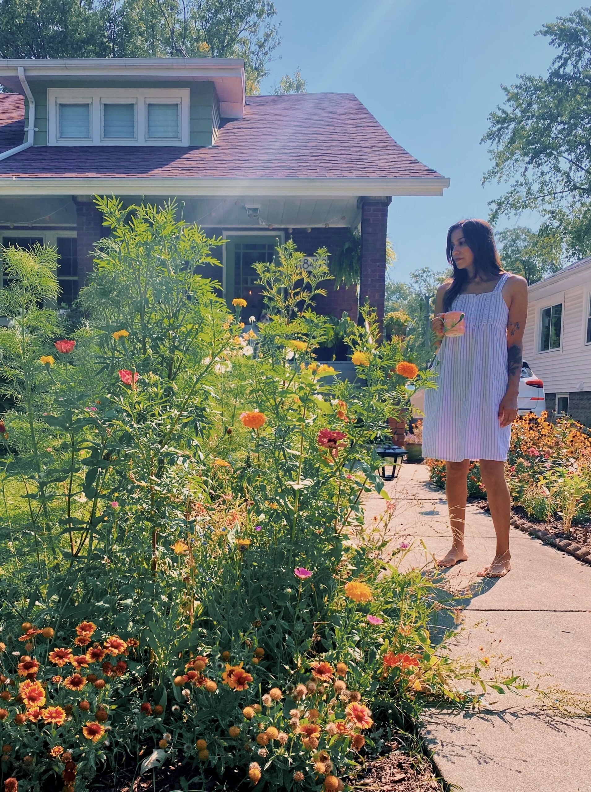 Readers share their gorgeous gardens