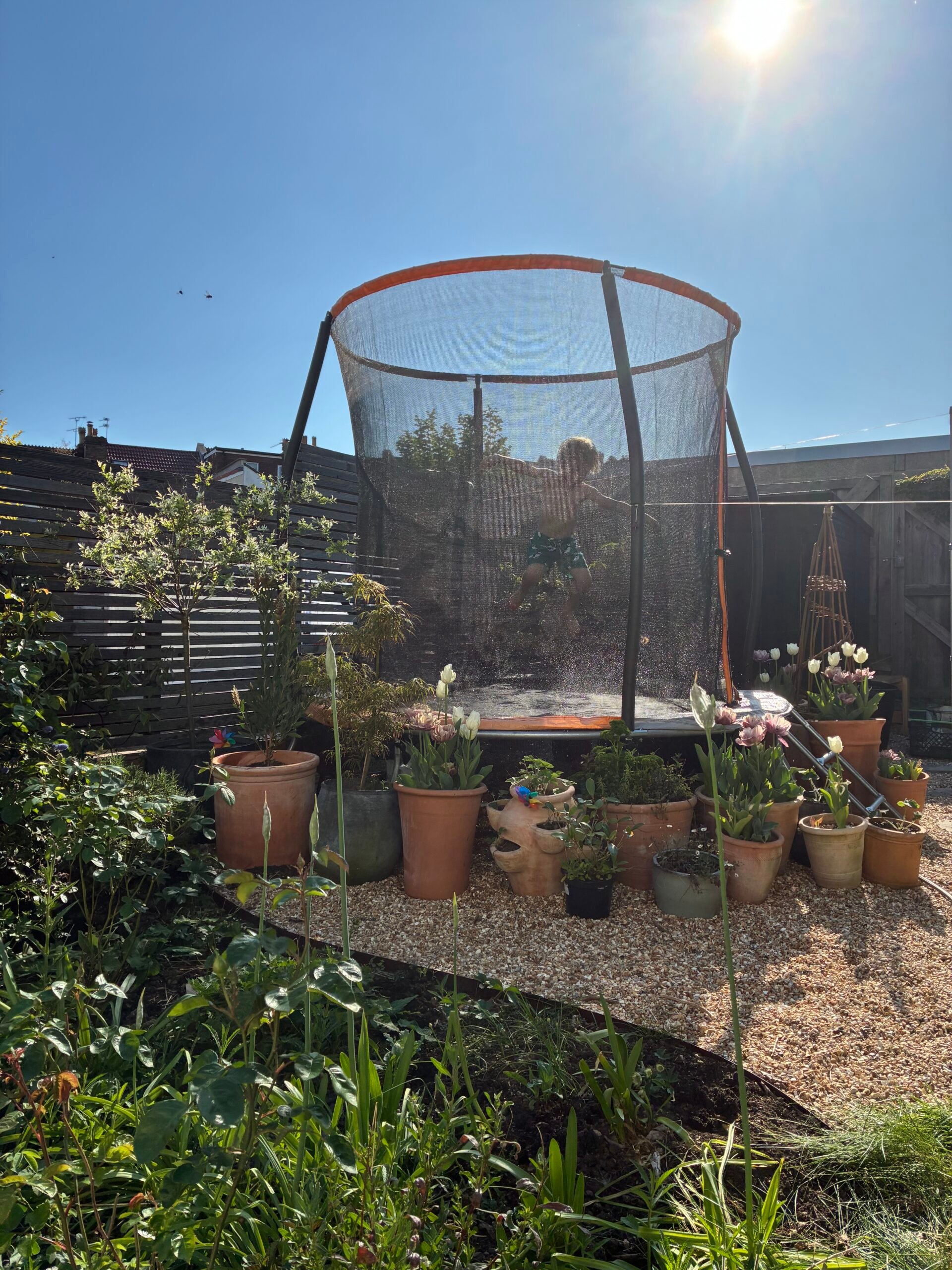 Readers share their gorgeous gardens