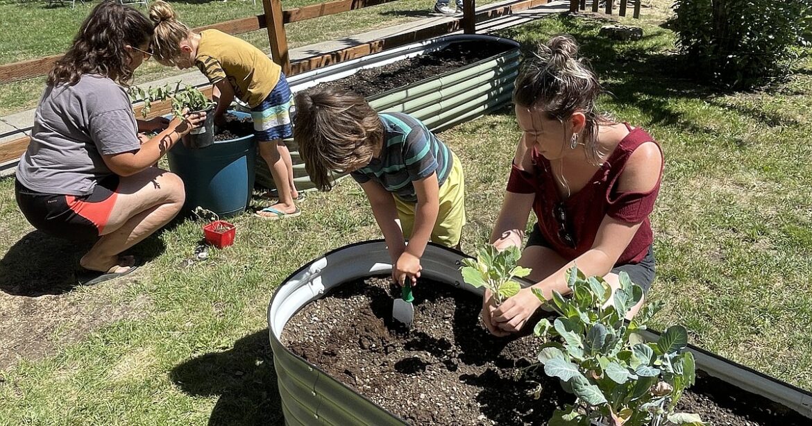 Newport Community Garden sets planting day