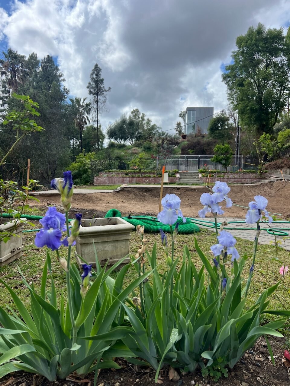 Readers share their gorgeous gardens