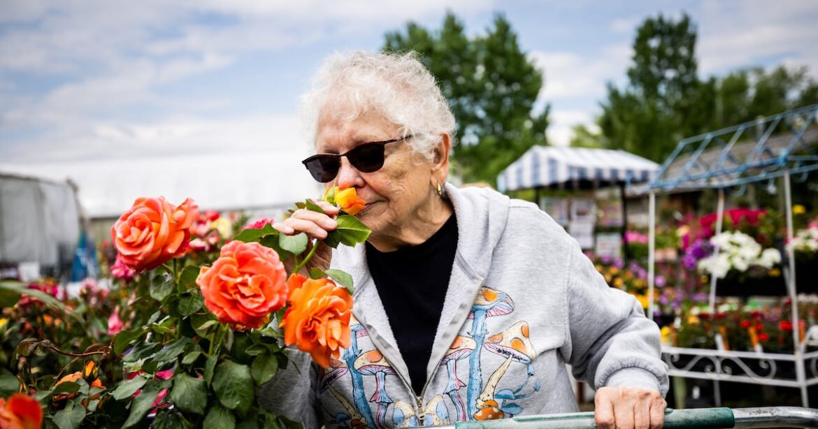 How you can make your garden more successful – Deseret News How you can make your garden more successful – Deseret News