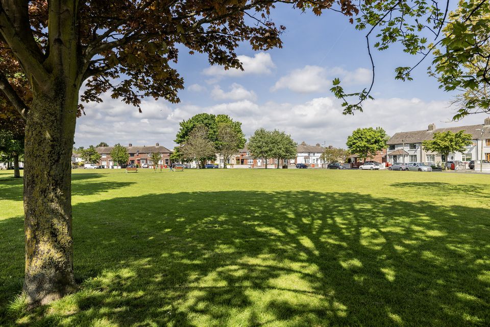 The green opposite the house