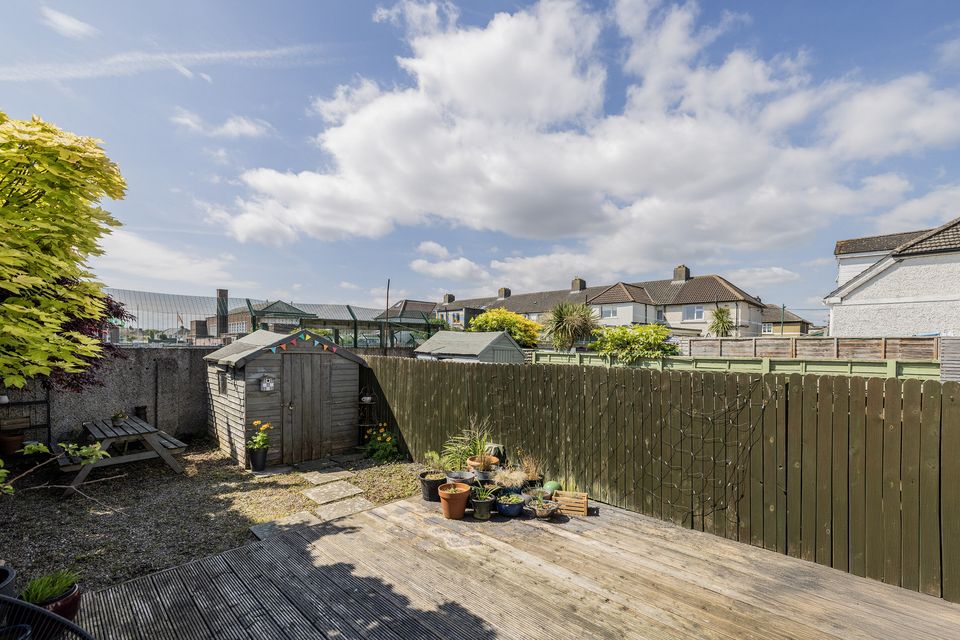 The back garden