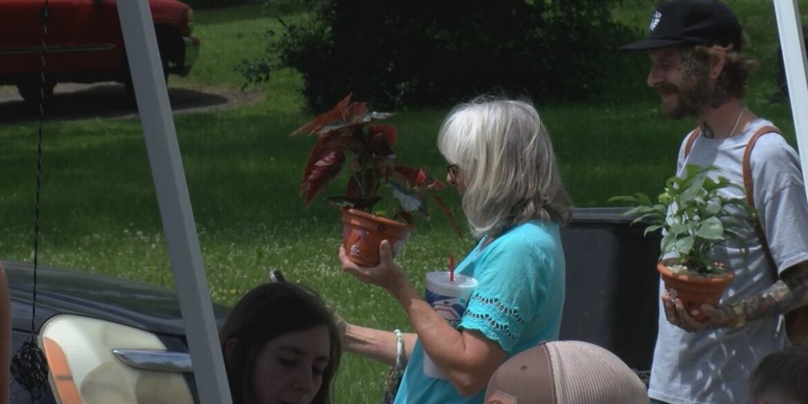 Celebrating Mother’s Day in the garden Celebrating Mother’s Day in the garden