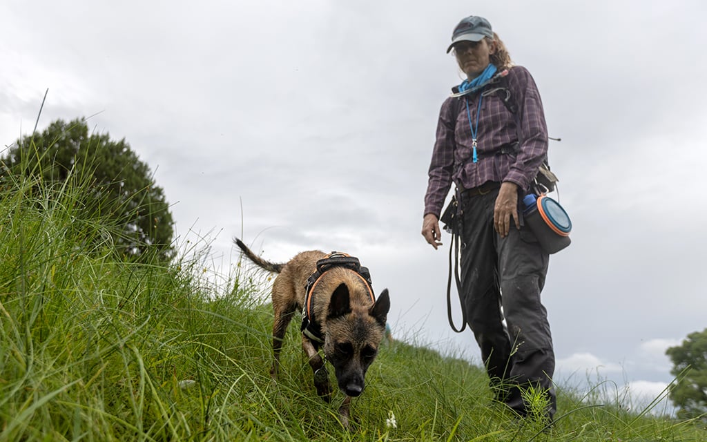 Lauralea Oliver and dog, Muon, find an orchid on a grassy hill under a cloudy sky.