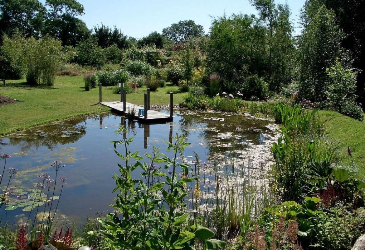 Nottinghamshire National Garden Scheme’s open gardens in local villages this weekend, including Gonalston and Norwell