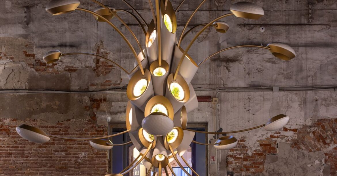 The Plan to Send Plant-Filled ‘Gardens’ Into Orbit