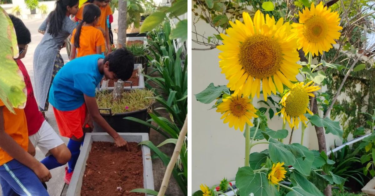 students from KC High planting sunflowers