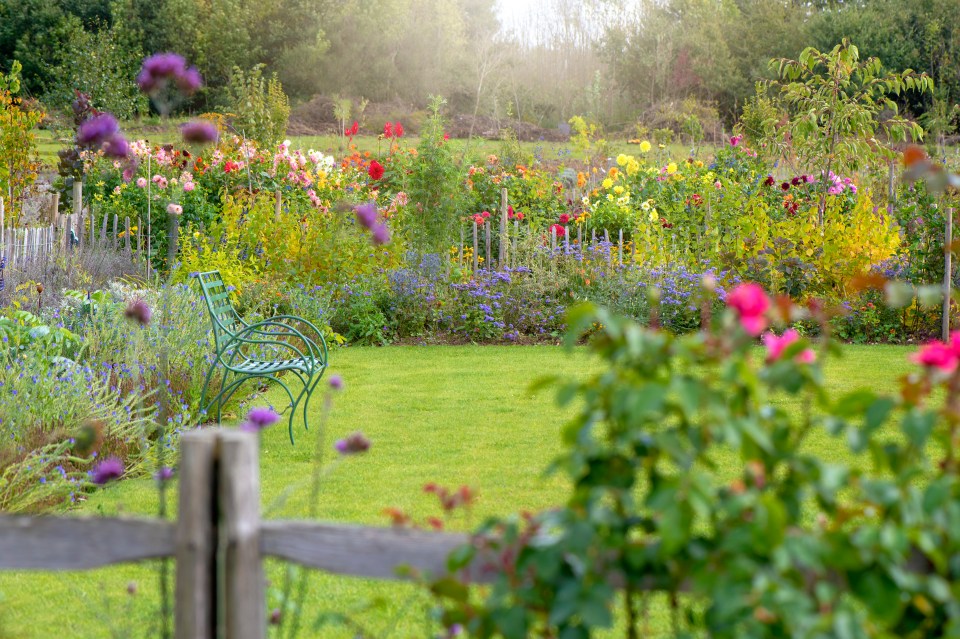 A green metal chair sits in a vibrant flower garden.