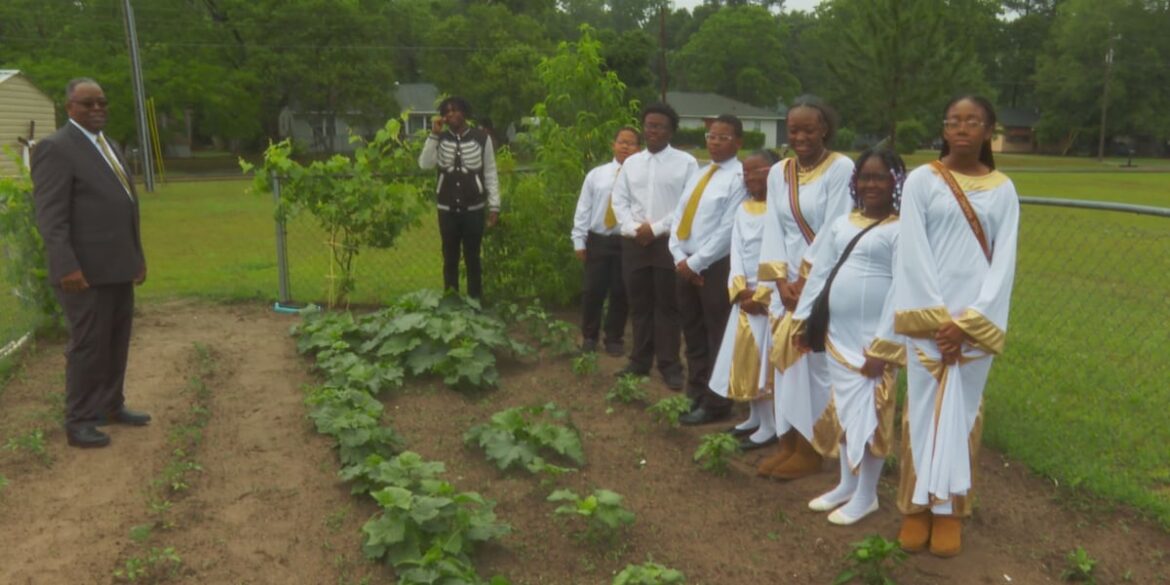 Sumter church gives back with community garden