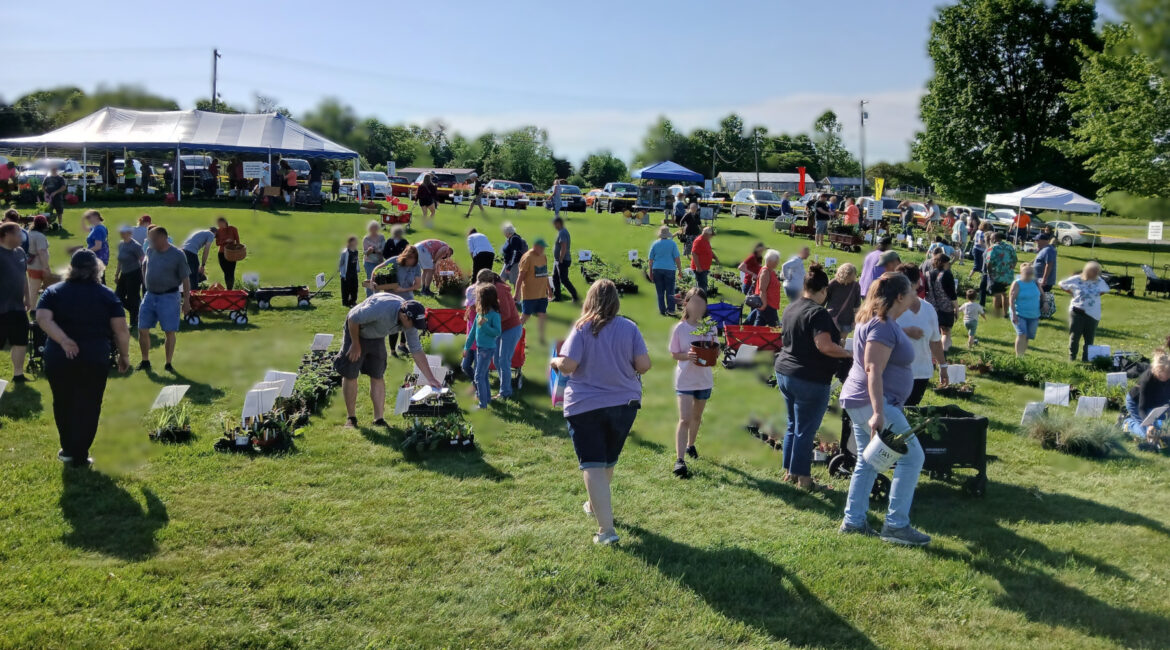 2025 Franklin County Master Gardener Plant Sale Success 2025 Franklin County Master Gardener Plant Sale Success