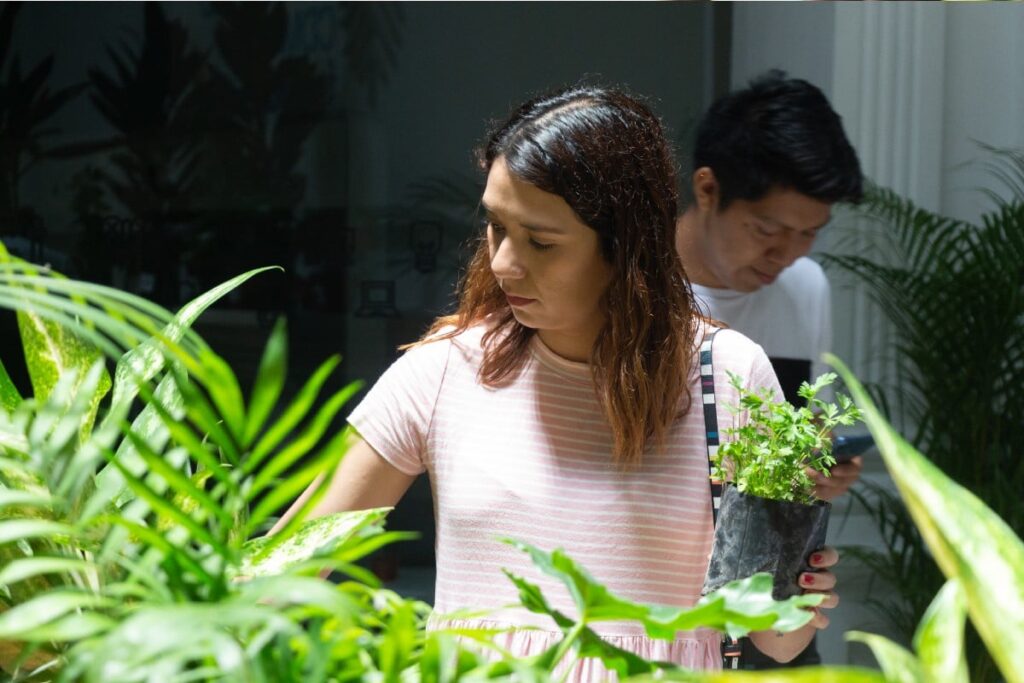Three days of plants, flowers and pots in Supremo, Plant Fest returns to CDMX!