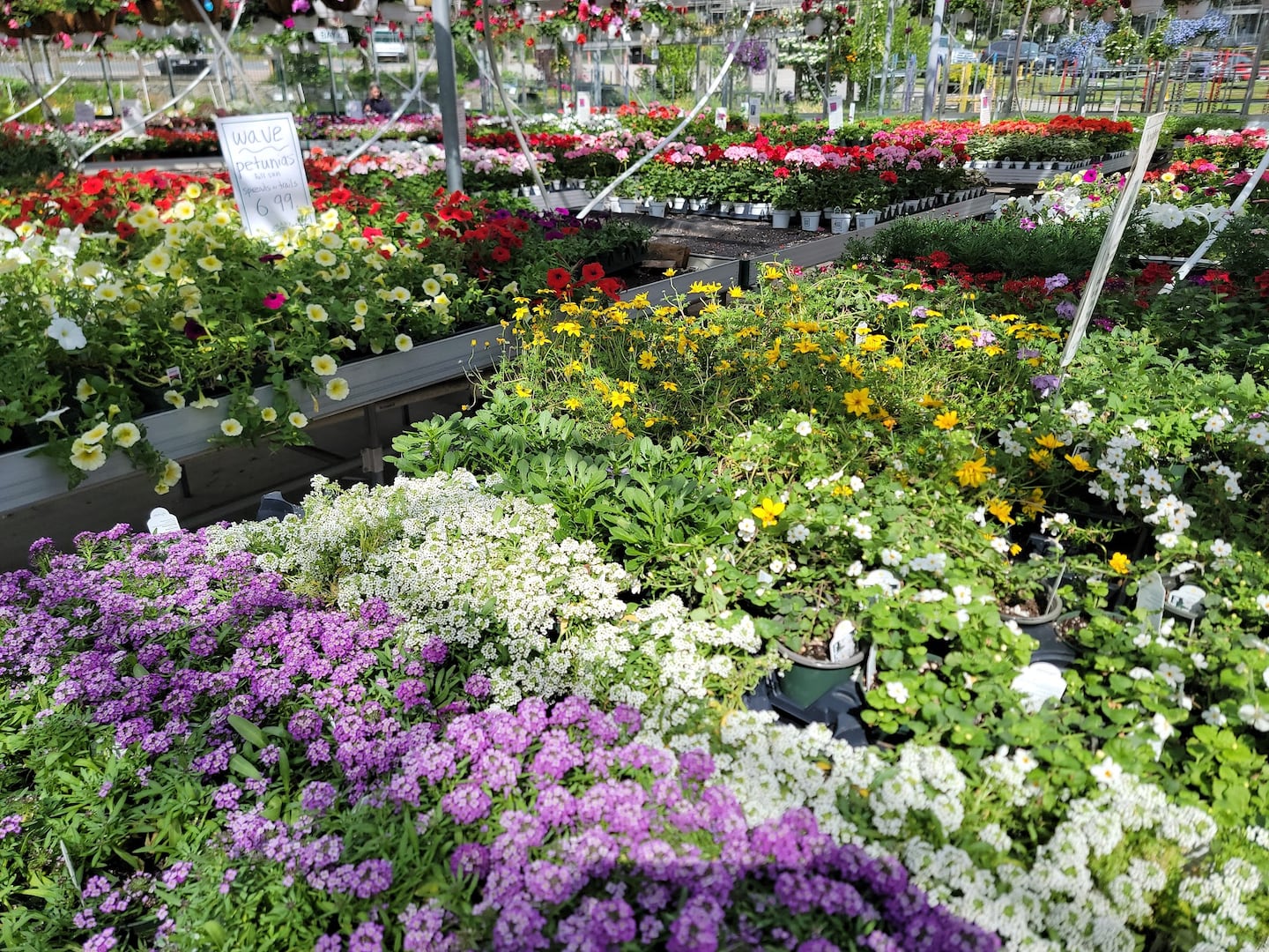 Fill your window boxes and containers with various annuals for all-season color.