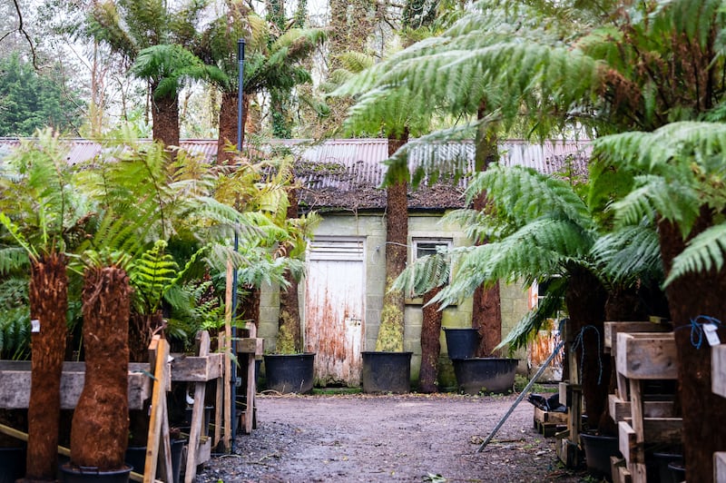 Billy Alexander's Kells Bay House & Gardens in Co Kerry