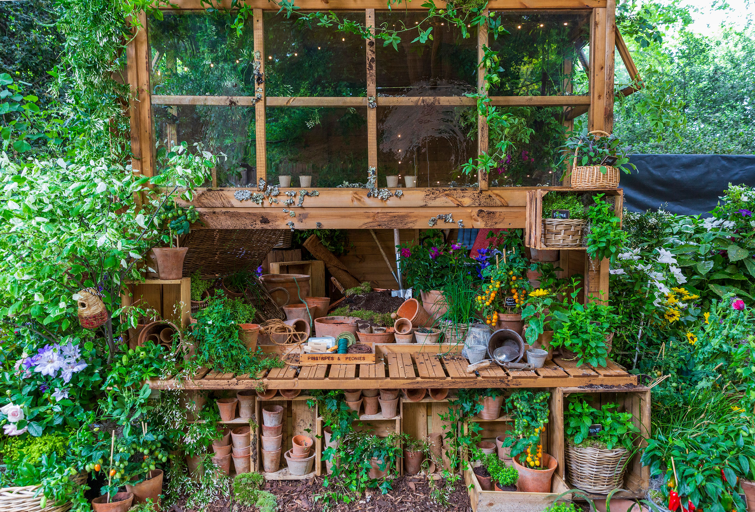 RHS Chelsea Flower Show 2025 